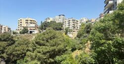 For Sale: Apartment in Fanar