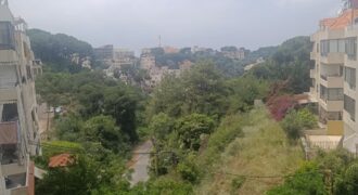 For Sale: Apartment in Bsalim