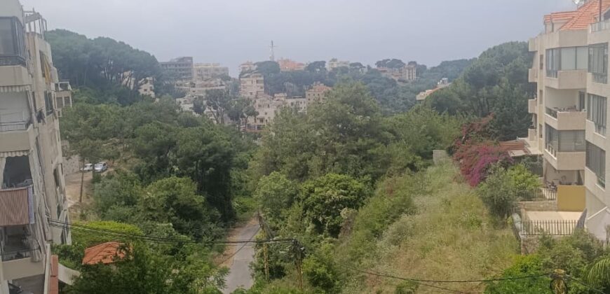 For Sale: Apartment in Bsalim