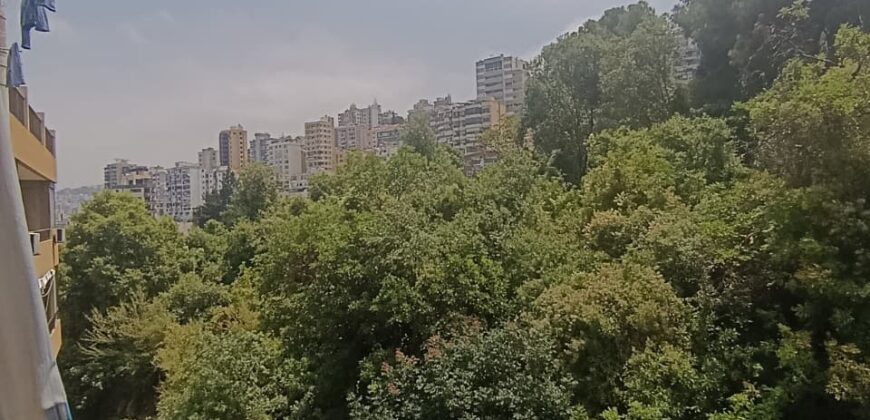 For Sale: Apartment in Jal El Dib