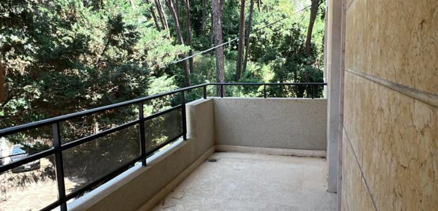For Sale: Apartment in Ain Saadeh