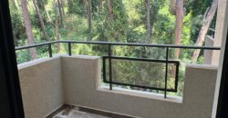 For Sale: Apartment in Ain Saadeh
