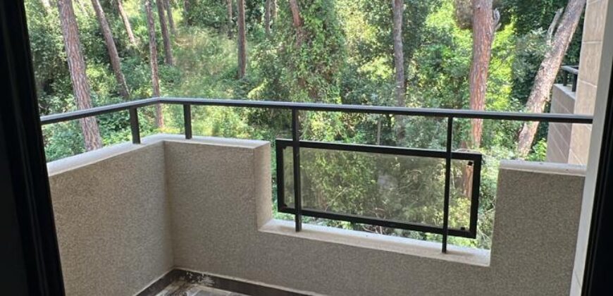 For Sale: Apartment in Ain Saadeh