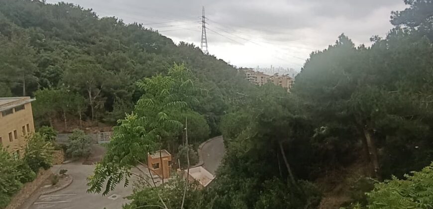 For Sale: Duplex in Ain Saade