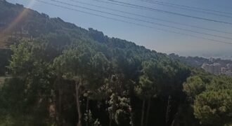 For Sale: Duplex In Ain Saadeh