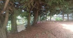 For Sale: Apartment in Broumana