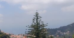 For Sale: Apartment in Mar Chaaya