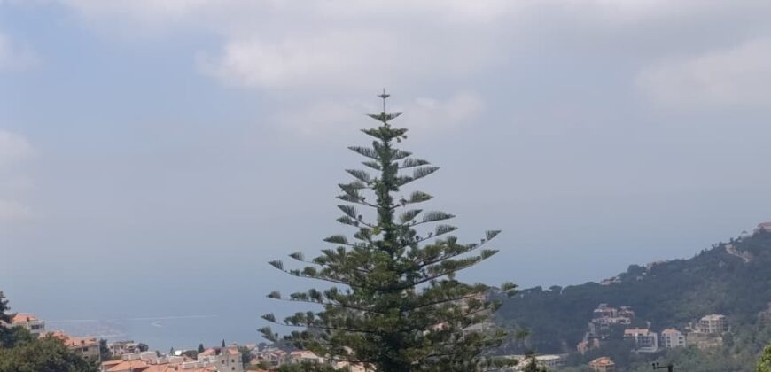 For Sale: Apartment in Mar Chaaya