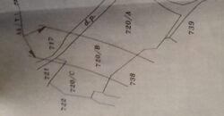 For Sale: Land in Ain Saadeh