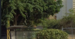 For Rent: Land in Antelias