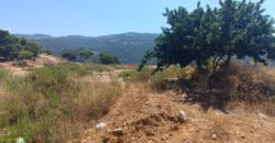 For Sale: Land in Biaqout