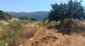 For Sale: Land in Biaqout