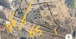For Sale: Land in Biaqout